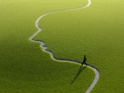 Wiese mit Weg in Form eines Gesichts