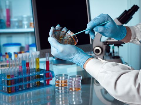 Aufnahme von einem Labor. Im Vordergrund wird eine Probe aus einer Petrischale genommen.