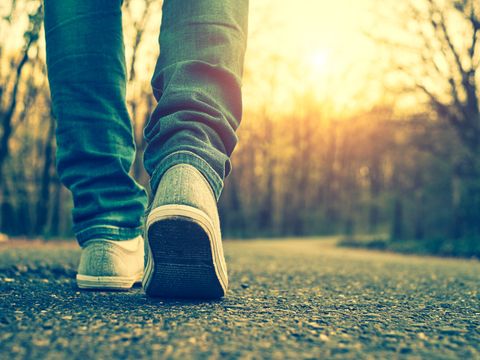 Frauenbeine in Turnschuhen auf einer Waldstraße