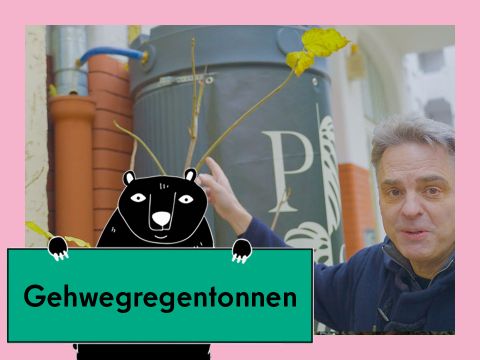 Video-Thumbnail Gehwegregentonne