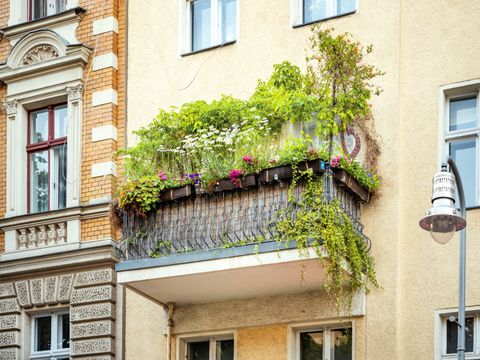 Begrünter Balkon in Berlin