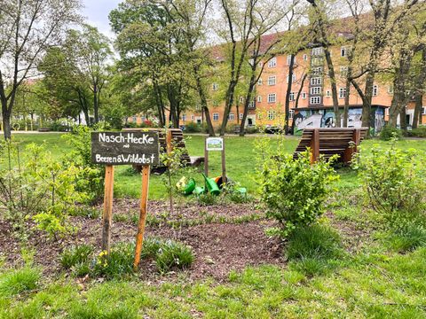 Beet in einer Grünanlage, Naschhecke im Griechischen Park Schöneweide