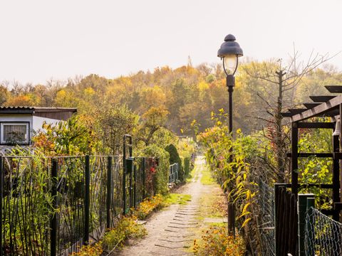 KGA Volkspark Prenzlauer Berg (Bild: Dagmar Schwelle)