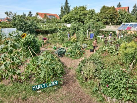 Gemeinschaftsgarten Peace of Land