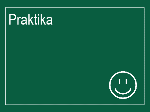 Praktika