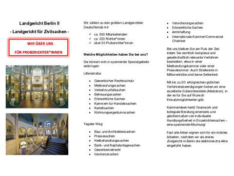 Flyer für Proberichter:innen