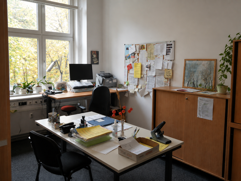 Ein helles Dekretariat mit Schreibtischen, Computer, Drucker, Telefon und vielen Unterlagen. An der Wand hängt eine Pinnwand mit zahlreichen Aushängen und Notizen. Große Fenster, Pflanzen und Büromaterialien prägen den Raum und vermitteln eine geschäftige, organisierte Arbeitsatmosphäre.