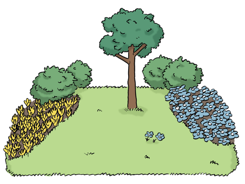 07 Garten