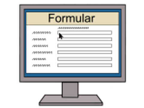 10 Formular im Internet