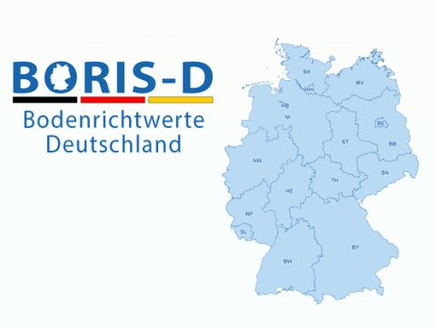 BORIS-D 480-360