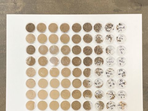 Eine Aneinanderreihung verschiedener Lehm- und Sandproben in unterschiedlichen Farben und Körnungen