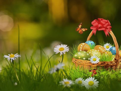 Ein Korb voller Ostereier steht auf einer Frühlingswiese