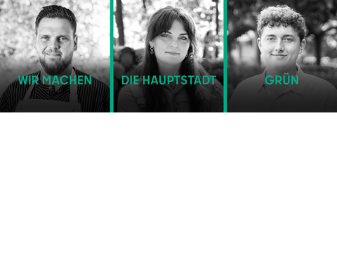 WMDHgrünaktuelles