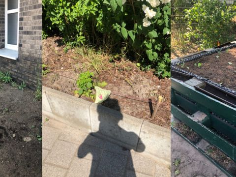 Schmetterlingswiese und Hochbeete – Kiefholz-Grundschule