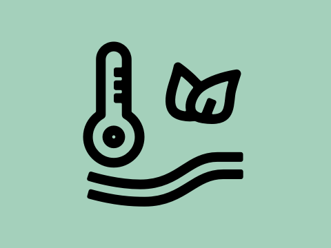 Teaser Klimawandelanpassung