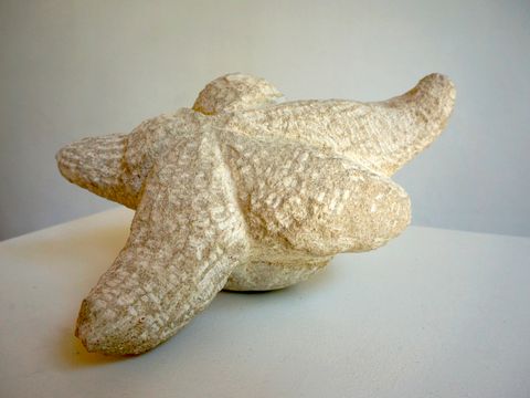 Ein Seestern aus Kalkstein auf einer weißen Fläche
