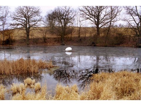 Barbara Metselaar Berthold: »Insel – Gespräche vor blühender Landschaft« 2005 (Bild: faro-film 2005)
