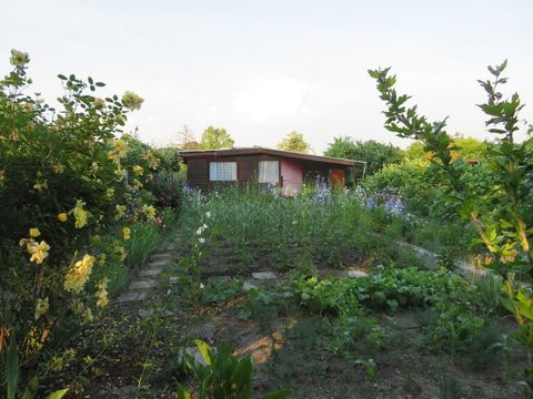 Lesung: »Bornholm II« von Claudia Kühn