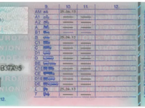 Führerschein-Rückseite