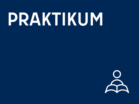 Praktikum