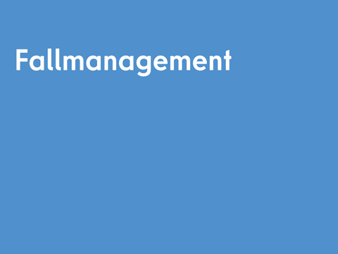 Fallmanagement