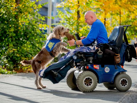 aktion-mensch-assistenzhundteam