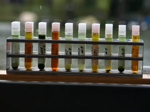 Probenahmeröhrchen
