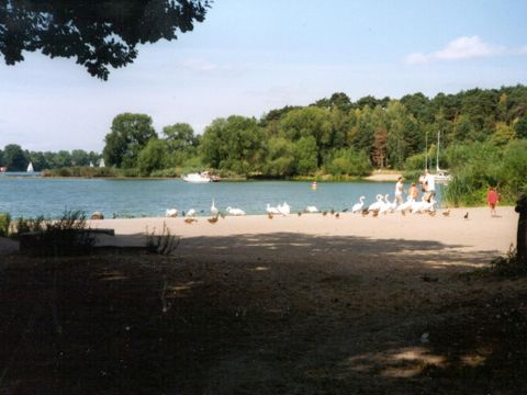 Badestelle Lieper Bucht