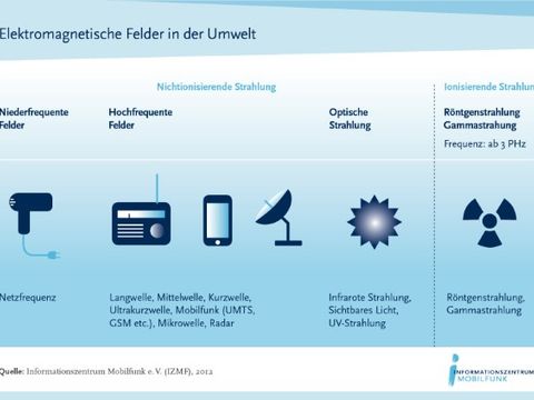 Elektromagnetische Felder in der Umwelt