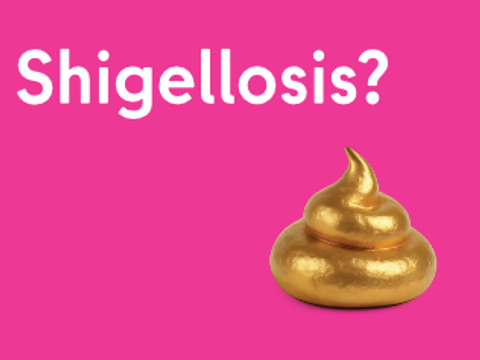 Shigellose