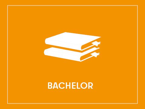 Bachelor
