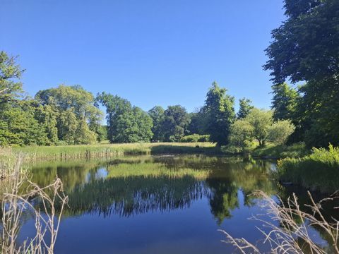 Schlossteich im Schlosspark Glienicke