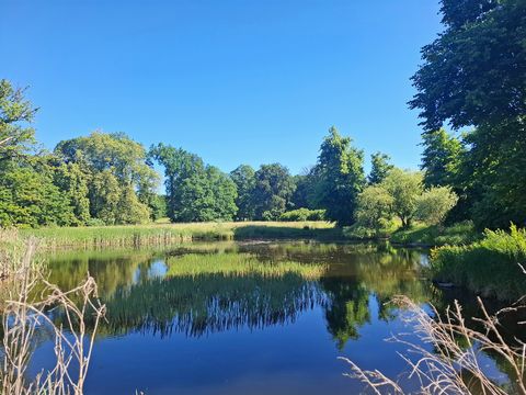 Schlossteich im Landschaftspark Glienicke (Bild: Landesdenkmalamt Berlin, Foto: Leonie Glabau)