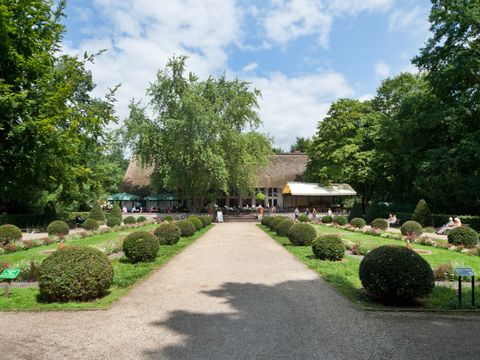 Englischer Garten
