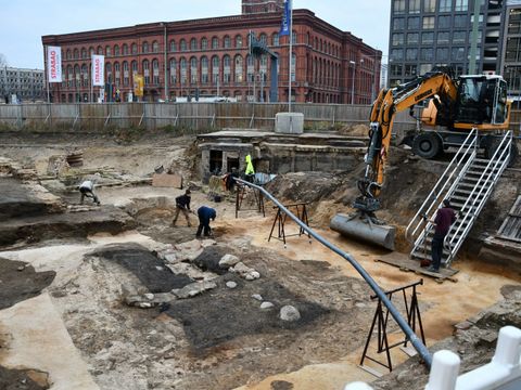Grabung Molkenmarkt, Oberfläche der Holzkonstruktion, 2022