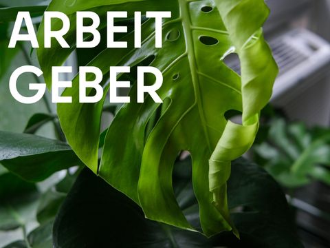 Teaser Arbeitbgeber