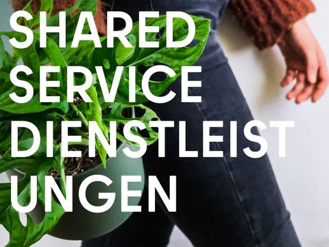 Teaser Shared Service Dienstleistungen