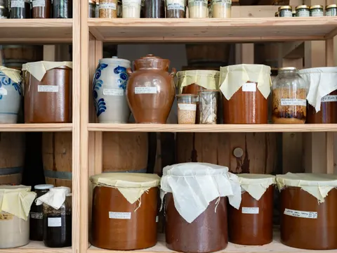 Mimi Ferments