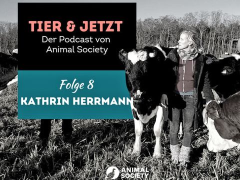 Tier & Jetzt - Ein Podcast von Animal Society, Folge 8 Kathrin Herrmann