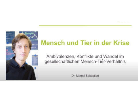Foto Marcel Sebastian Schriftzug Mensch und Tier in der Krise - Ambivalenzen, Konflikte und Wandel im gesellschaftlichen Mensch-Tier-Verhältnis