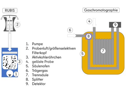 Skizze des Messprinzips zur Bestimmung der Benzol-Konzentration mittels RUBIS/Gaschromatographie (Bild: SenMVKU, eigene Darstellung nach Gerätehandbuch)