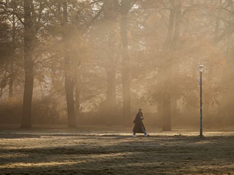 Mensch in nebligem Park