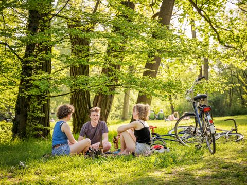 Drei junge Menschen im Park