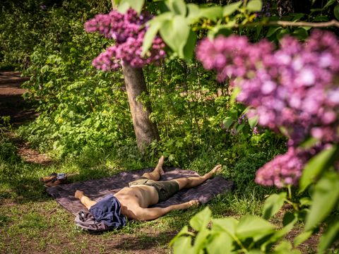 Mann liegt oberkörperfrei im Park