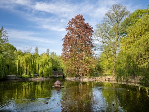 Teich im Stadtpark Steglitz