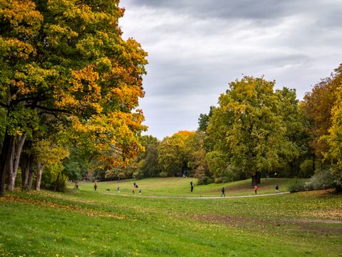 Volkspark Hasenheide
