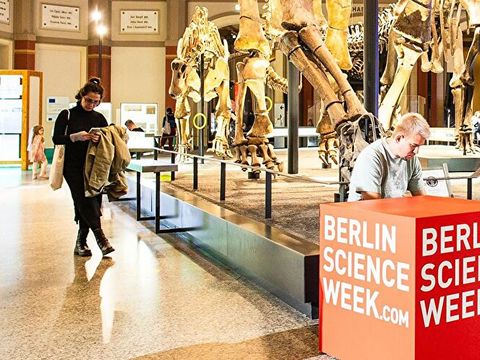 Besucher im Berliner Naturkunde-Museum bei der Science Week