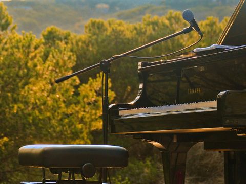 Piano im Freien vor Bäumen im Abendlicht