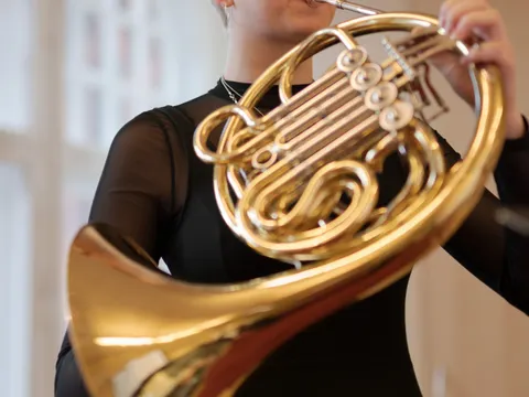 Horn2