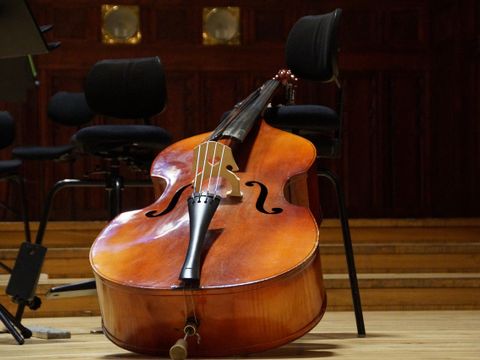 kontrabass_image-by-ivabalk-from-pixabay.jpg